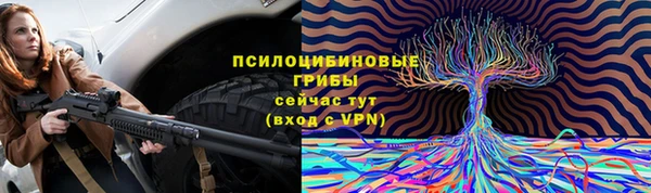 герыч Лагань